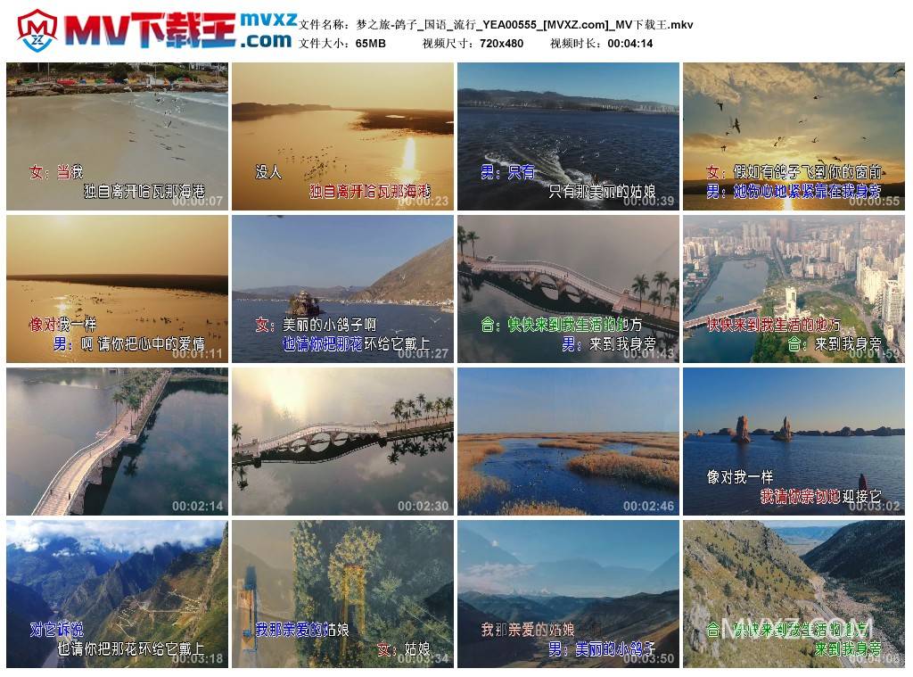 梦之旅-鸽子_国语_流行_YEA00555